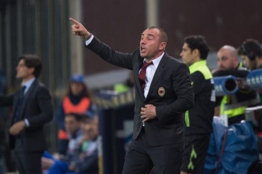 Brocchi