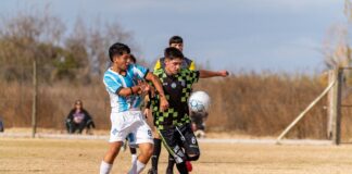 Two young soccer players competing for the ball on a sunny field.