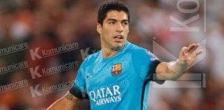 caso suarez