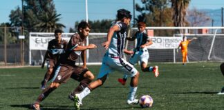 Dynamic soccer game on green field with players in motion during daytime.