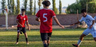 Young soccer players in action during a sunny match on a grassy outdoor field.