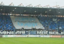 Spal