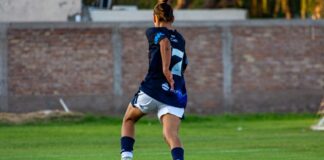 Soccer player in mid-motion on a grassy field, showcasing athletic skill and focus.