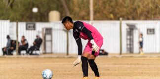 Soccer goalie in pink uniform poised with the ball during a daytime match on a sunny field.