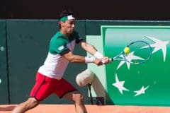 Tennis Coppa Davis Italia
