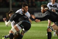 Risultato Glasgow Warriors Zebre Parma