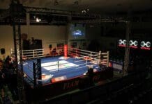 Boxe Coronavirus