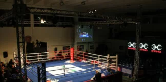 Boxe Coronavirus