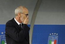 Nicolato