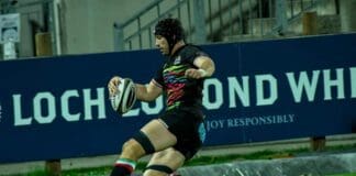 Zebre_Dragons_Masselli