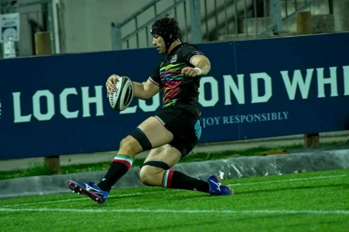 Zebre_Dragons_Masselli