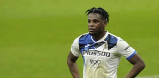 Zapata
