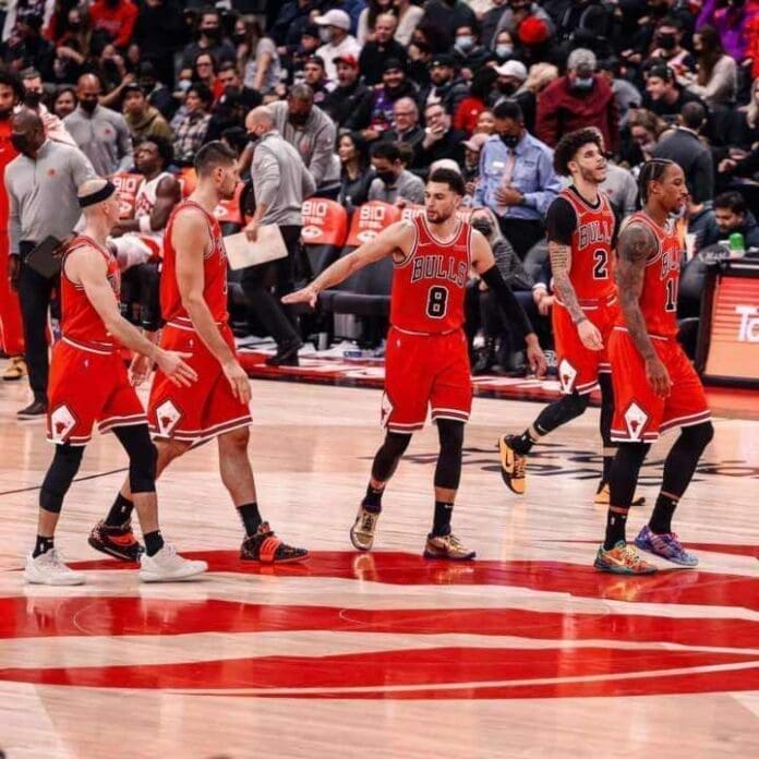 chicago bulls