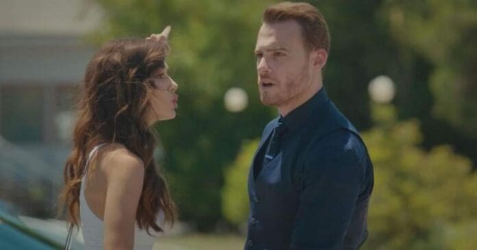 love is in the air love is in the air