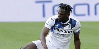 Zapata