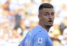 Milinkovic Savic