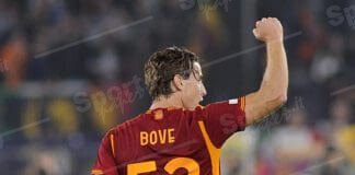 Bove