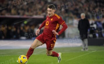 Belotti