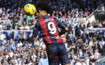 joshua zirkzee ( foto di salvatore fornelli )