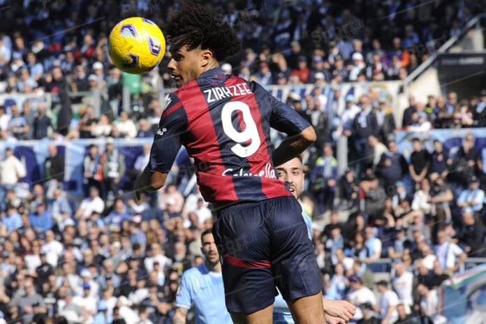 joshua zirkzee ( foto di salvatore fornelli )