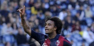 bologna calcio