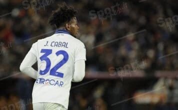 hellas verona calcio