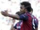 bologna calcio