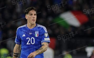 nicolo zaniolo