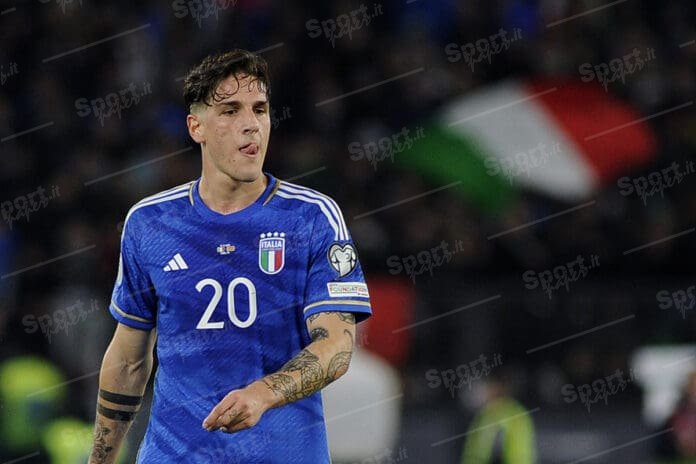 nicolo zaniolo