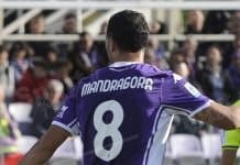 fiorentina calcio
