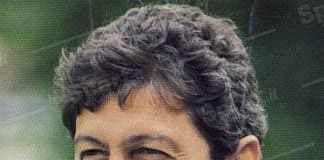 mircea lucescu brescia calcio